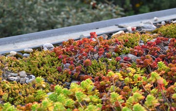 the cost of Conock green roof installation