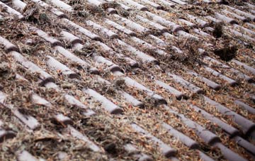 Conock roof cleaning companies