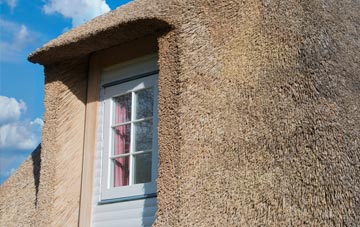 Conock thatch roof disadvantages